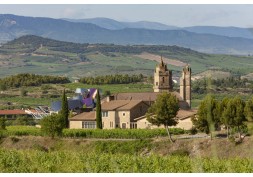 Próximo Destino: Viaje a Rioja Alavesa para visitar una bodega
