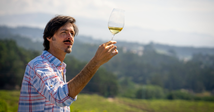 15 conceptos esenciales para sobrevivir en el mundo del vino 15 conceptos esenciales para sobrevivir en el mundo del vino