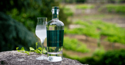 ¿Qué diferencia hay entre orujos, aguardientes y licores?